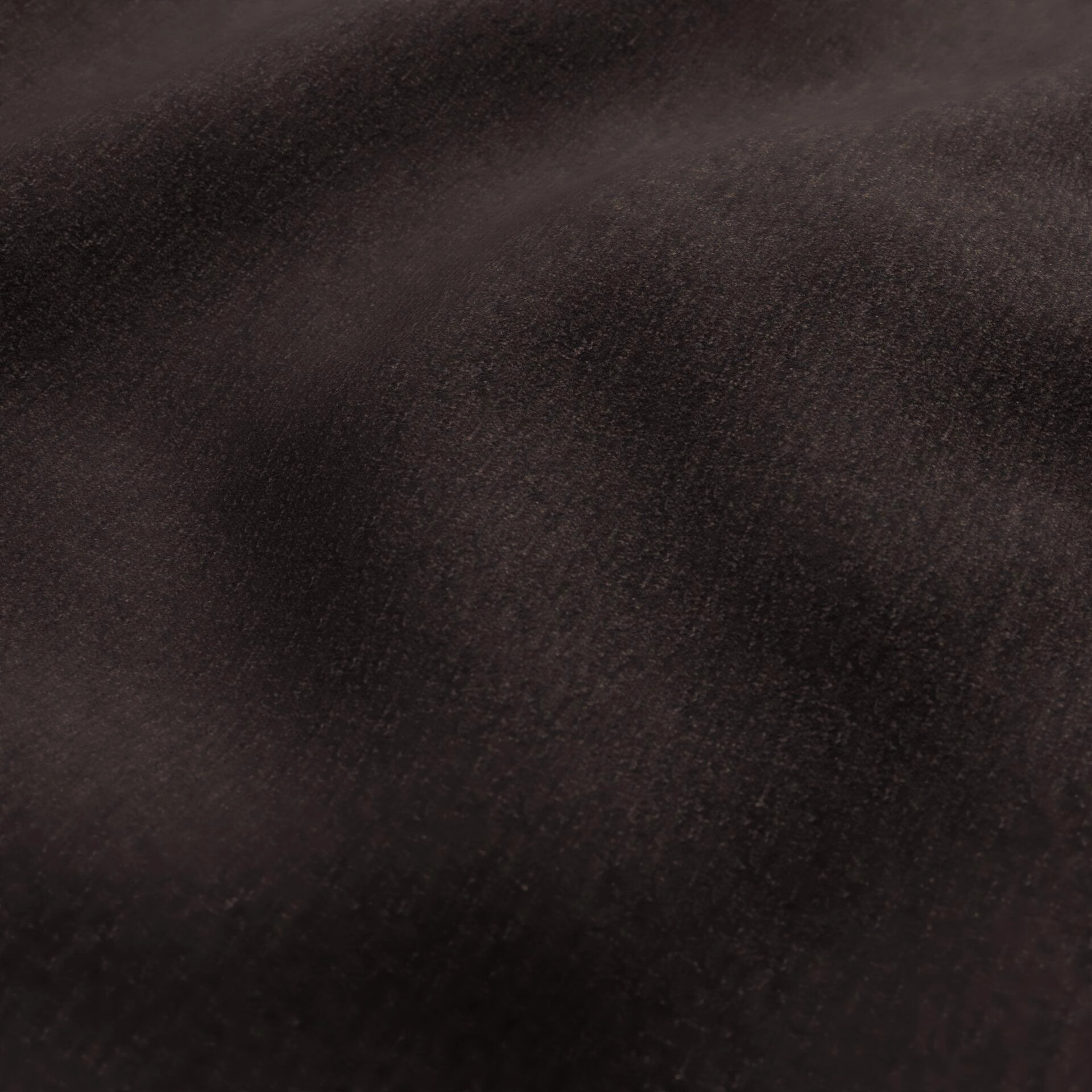 Ludo  Ludo  04 Bison  Wrinkeled_WR_CloseUp.jpg