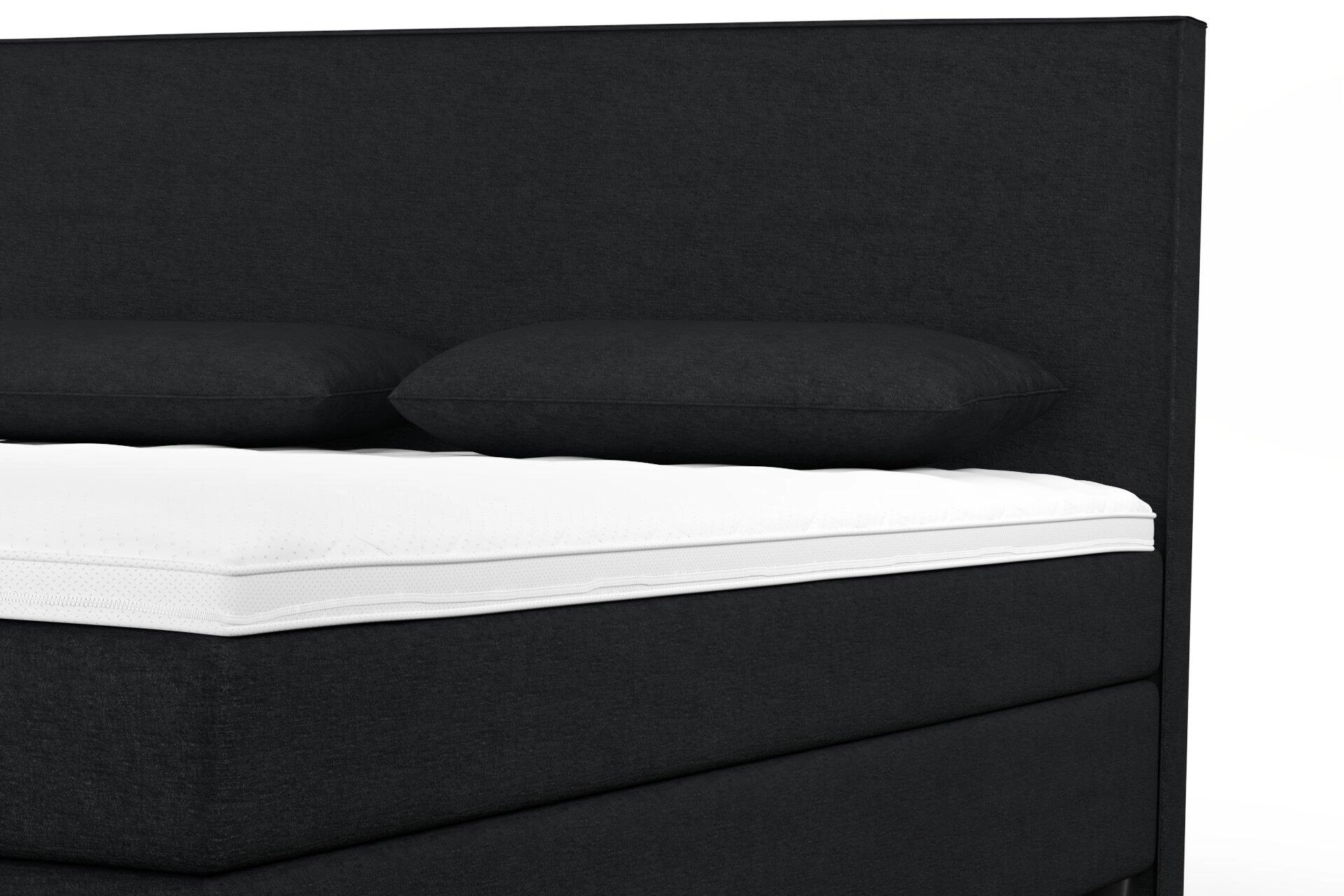 Ludo  Ludo  06 Shark  Bed_Bed_Detail.jpg