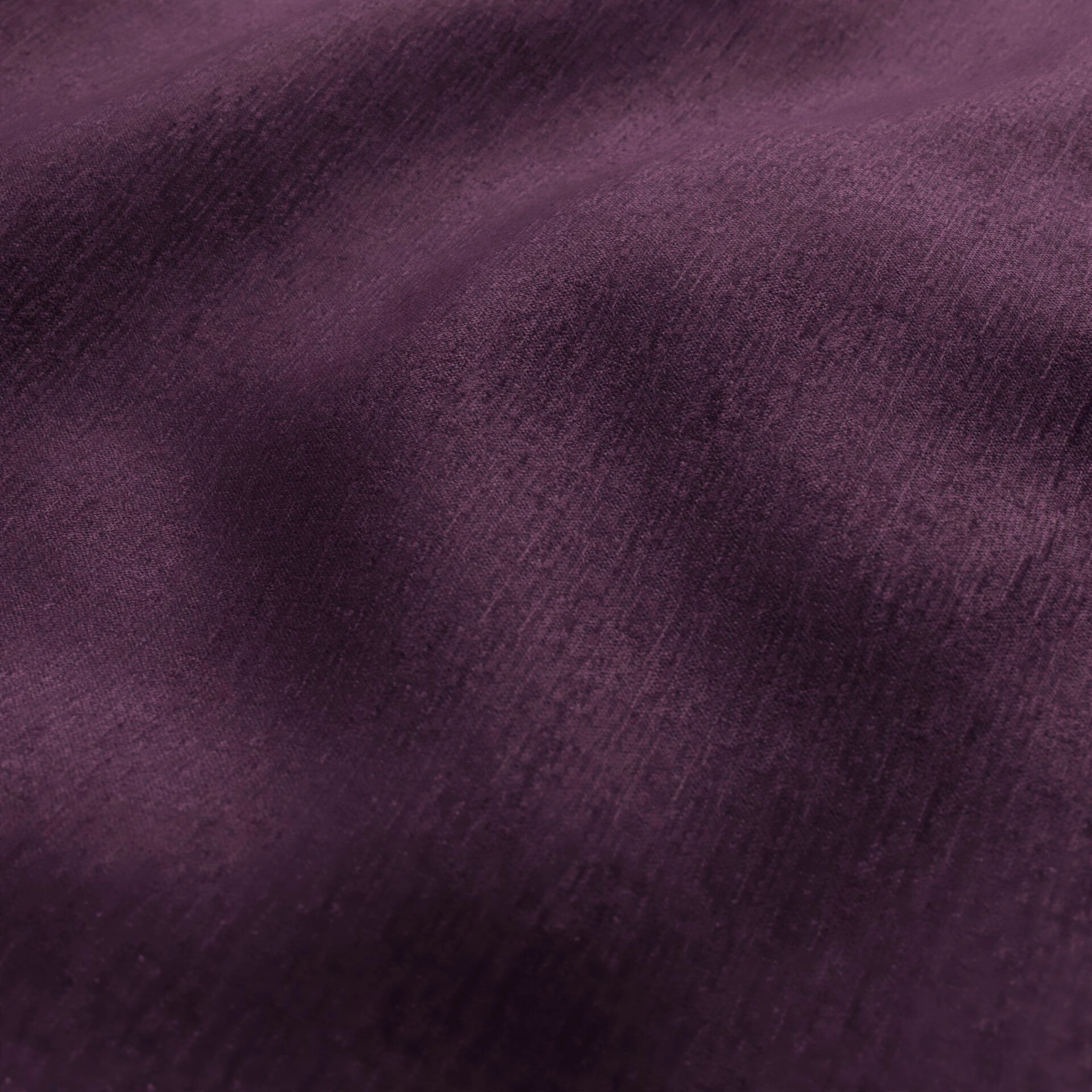Ludo  Ludo  21 Plum  Wrinkeled_WR_CloseUp.jpg