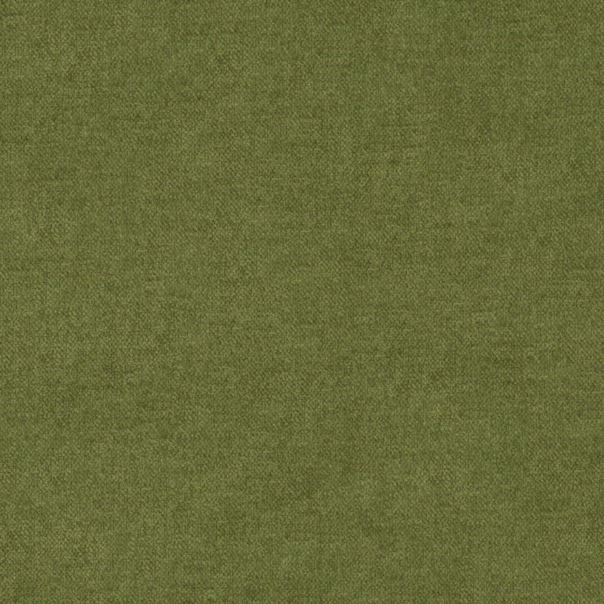 Ludo  Ludo  28 Fern  FlatShot_FS_FS_20.jpg