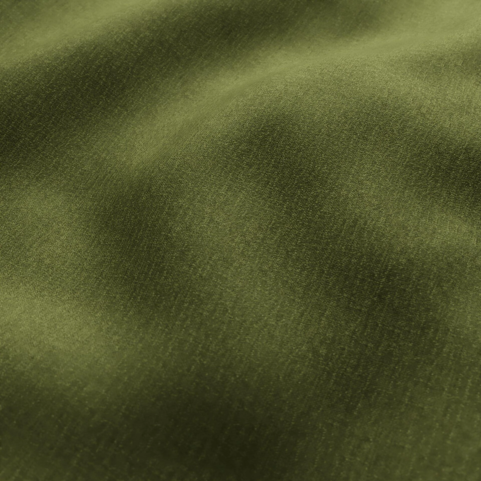 Ludo  Ludo  28 Fern  Wrinkeled_WR_CloseUp.jpg