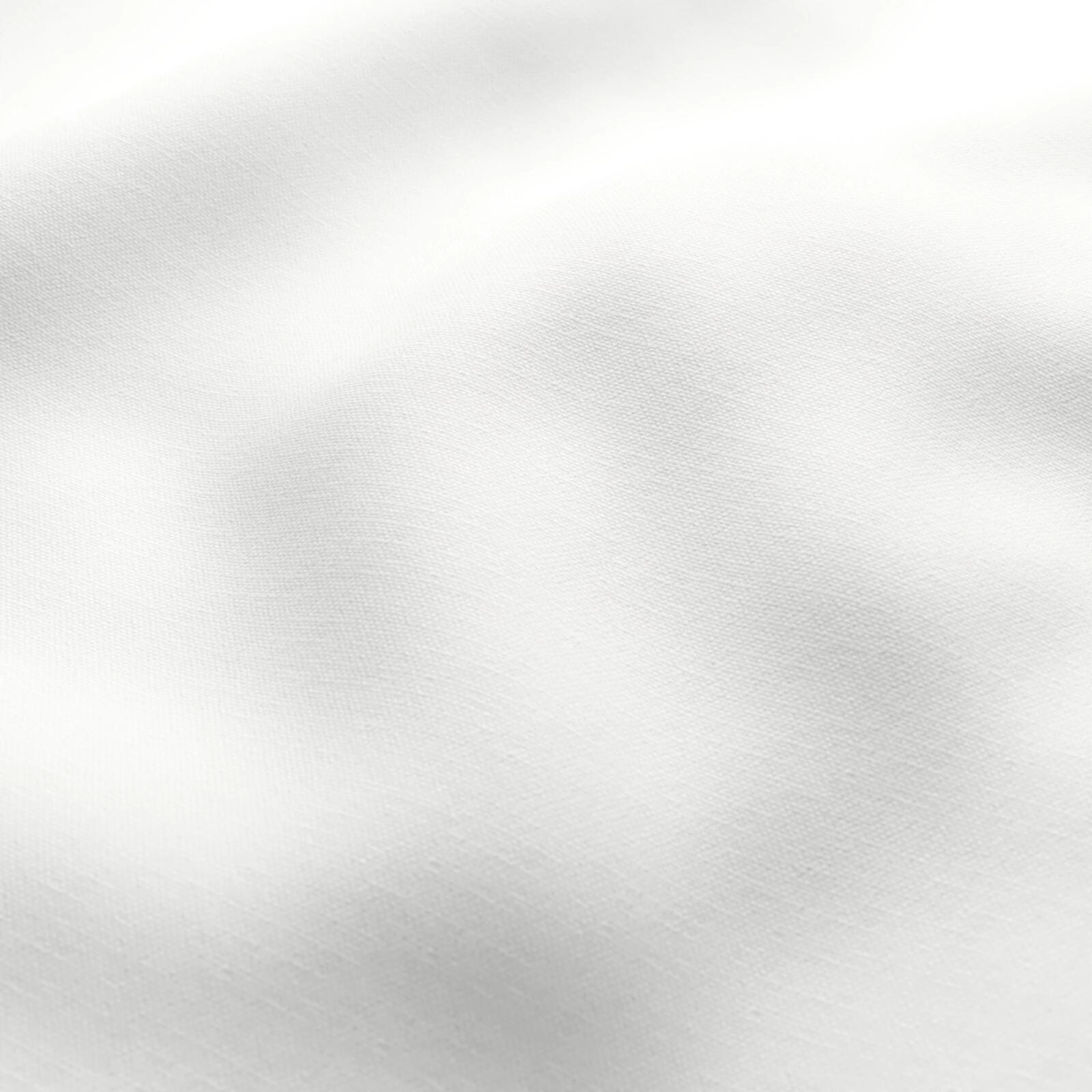 Romney_Snow_54540690061_1.jpg