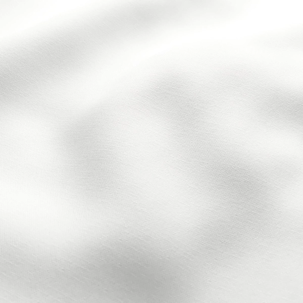 Romney_Snow_54540690061_1.jpg