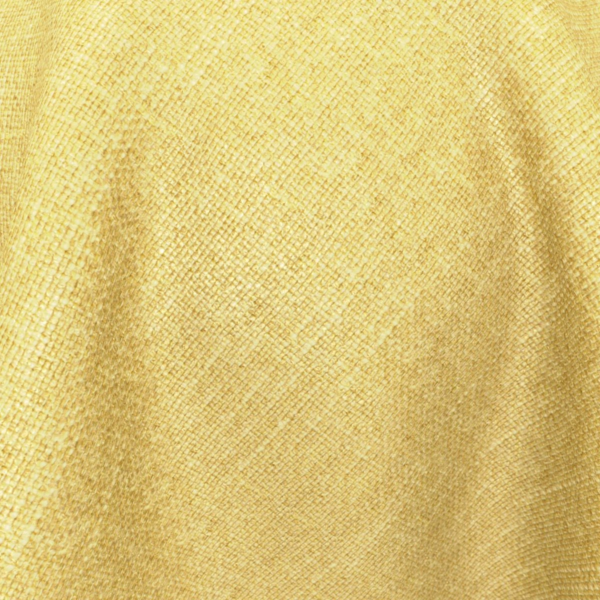 Excel - Romney--Excel - Romney--31-Mimosa - 54540658247--CloseUp_Ball_20_USD_BL_20_CU.jpg