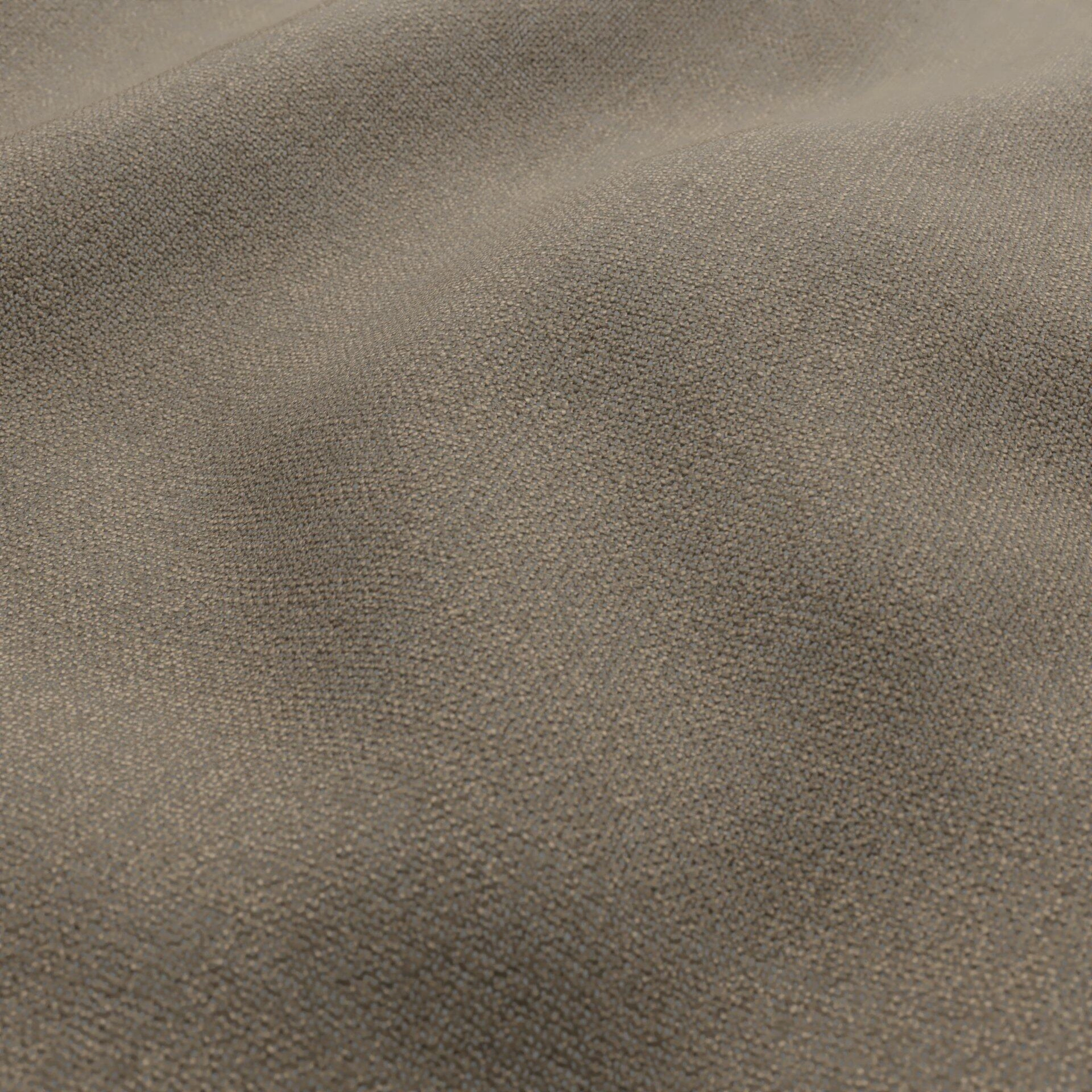 Statement--Statement--16-Brownie--Wrinkeled_WR_CloseUp.jpg