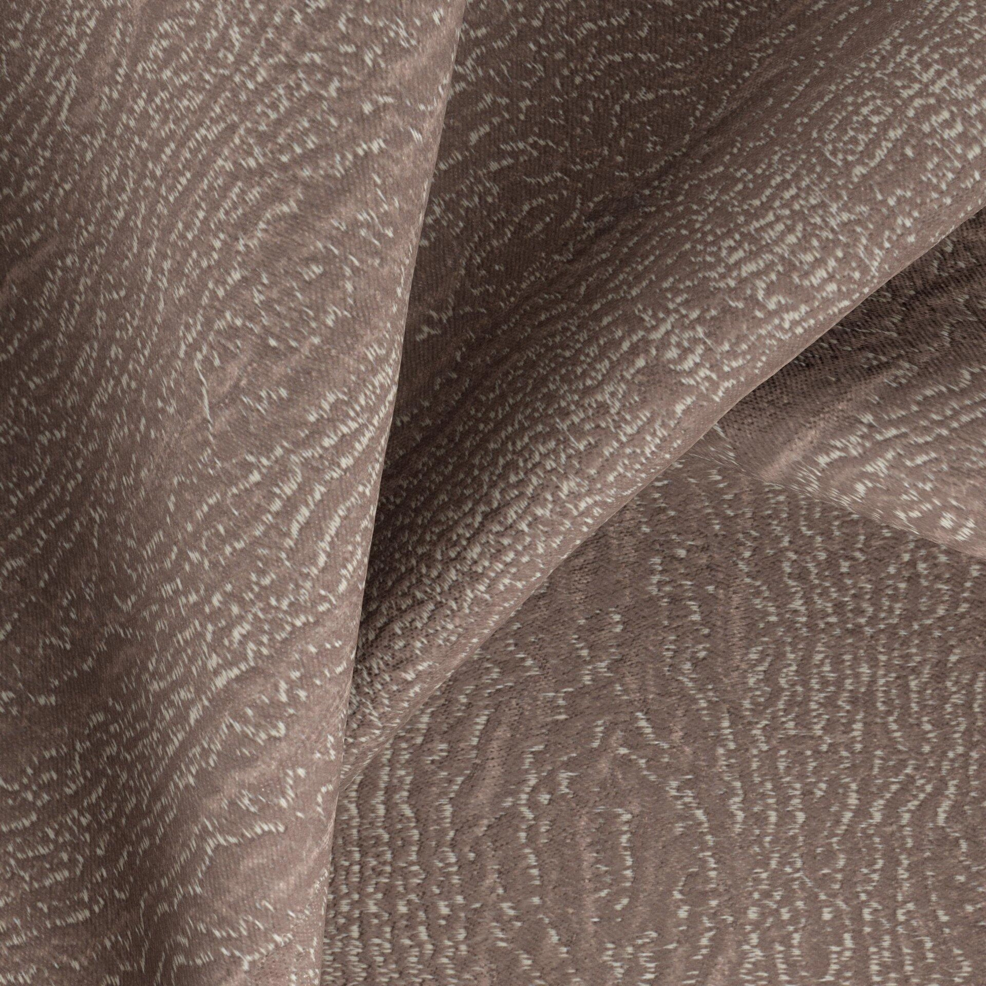 Jubilea  Jorace  02 Parma  CloseUp_TW_CU.jpg