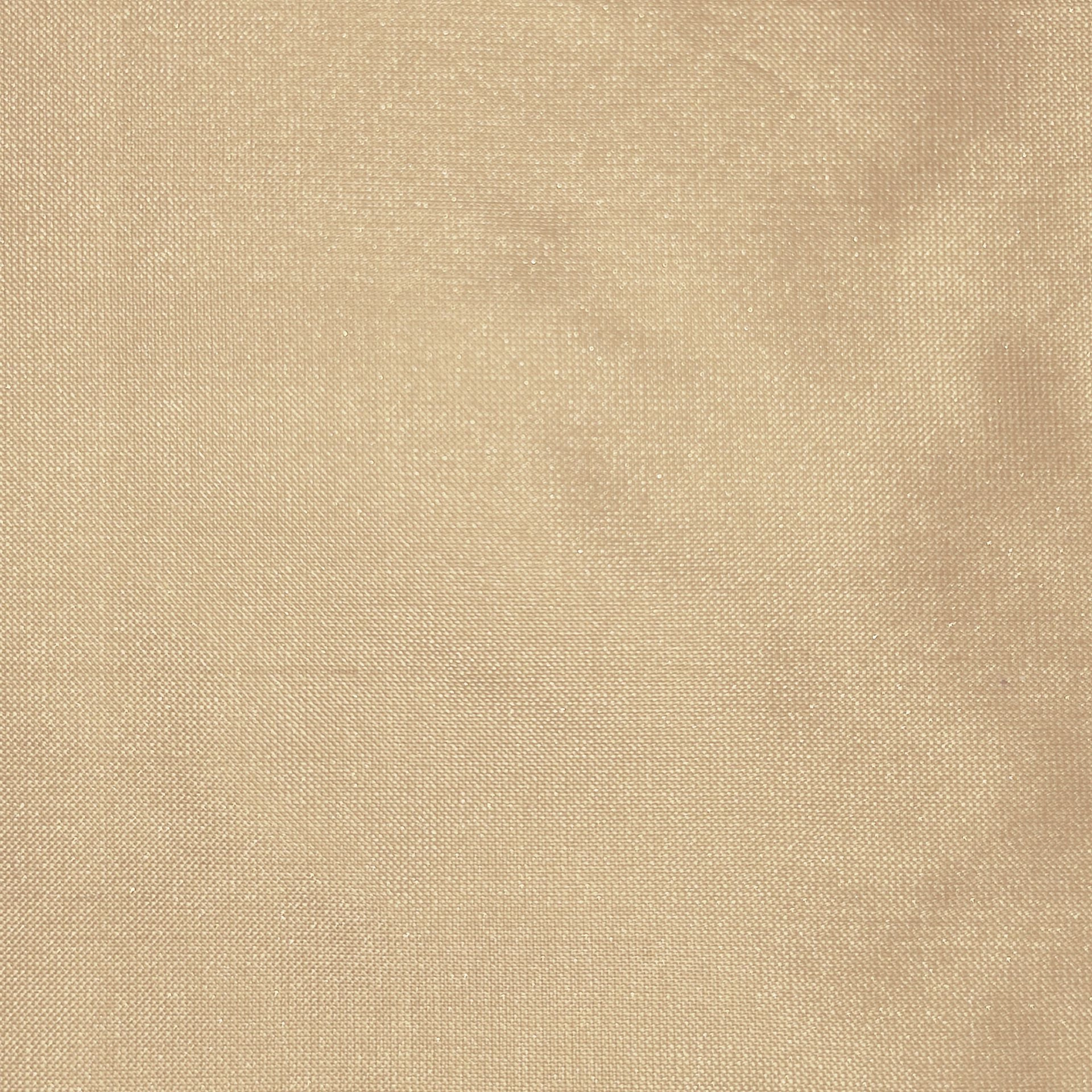 silk_20.jpg