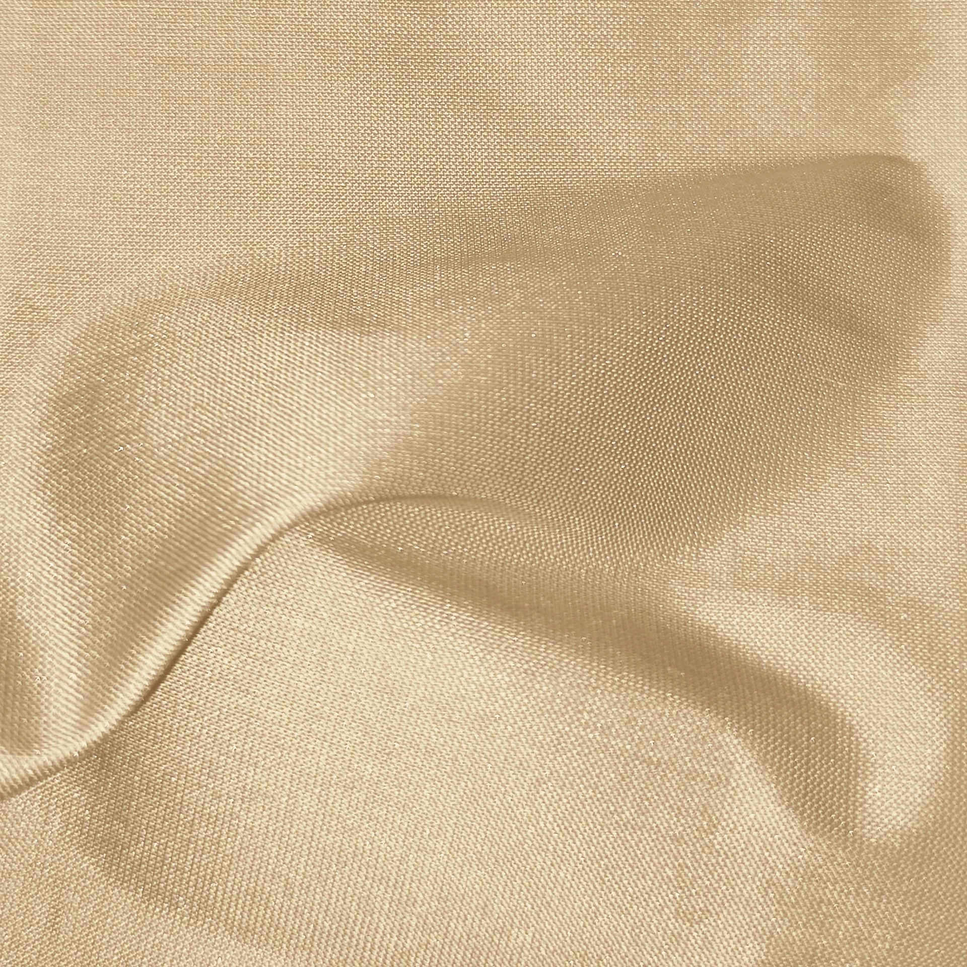 silk_20_1.jpg