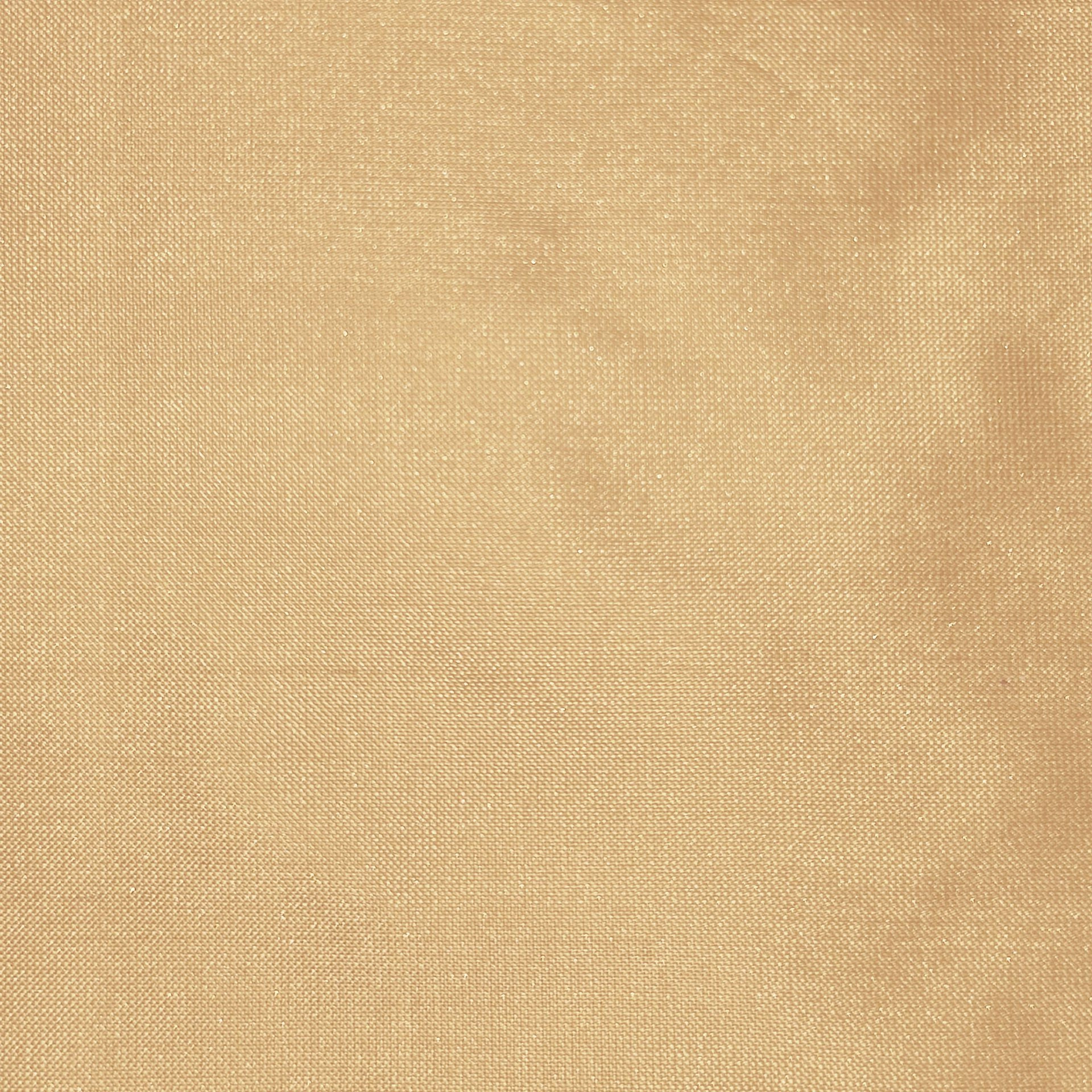 silk_21.jpg