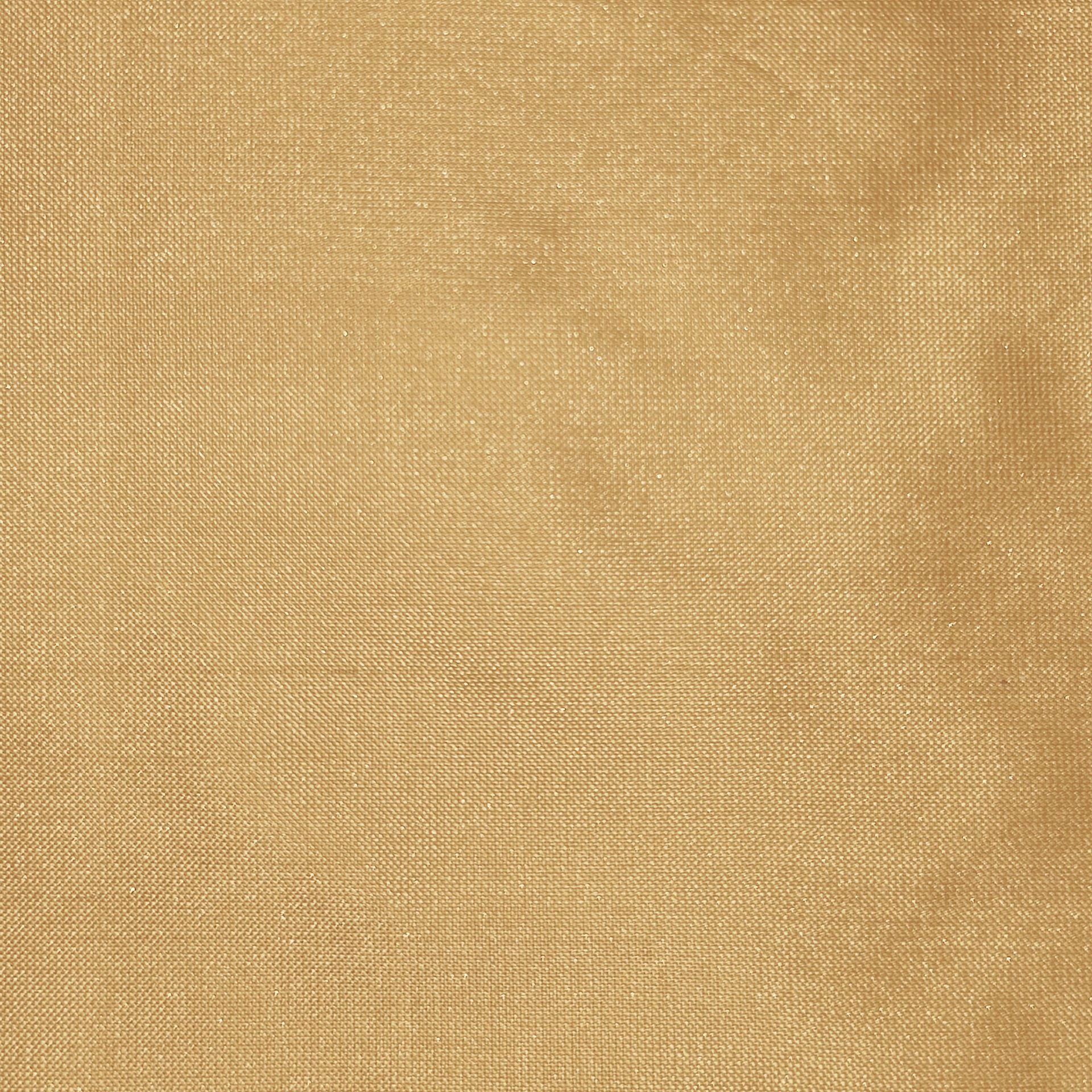 silk_23.jpg