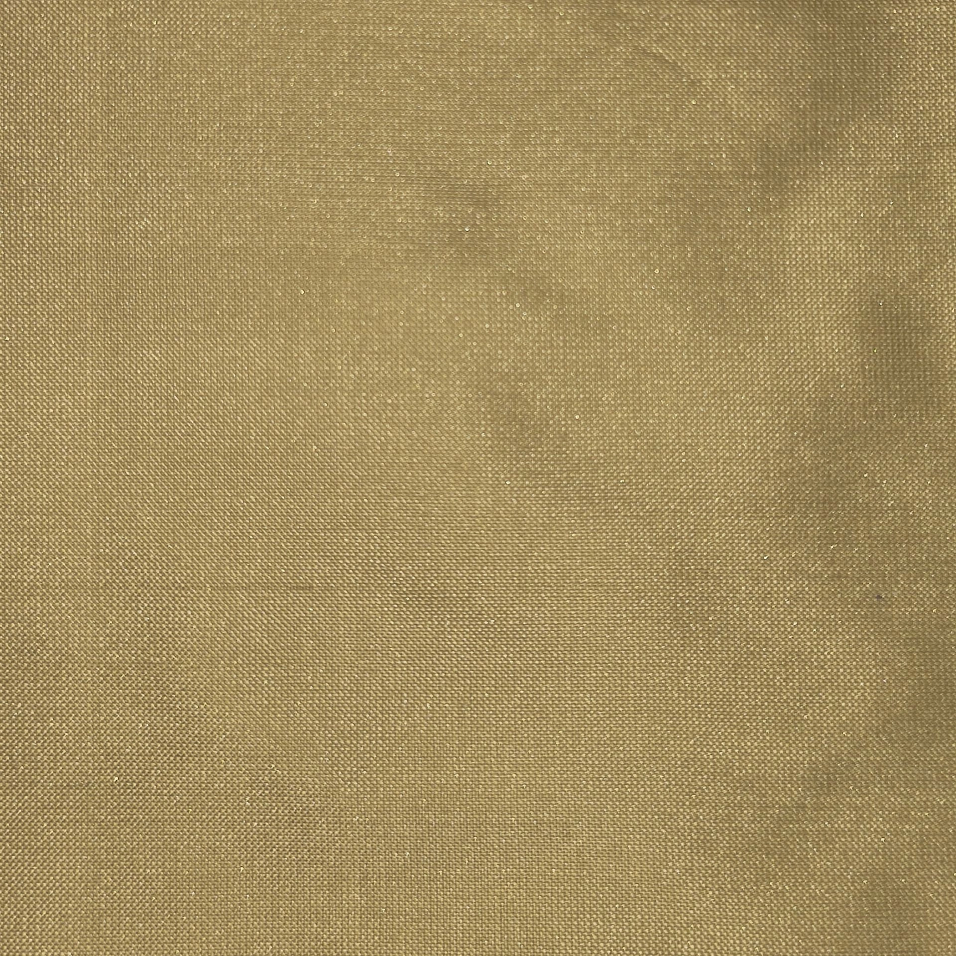 silk_34.jpg