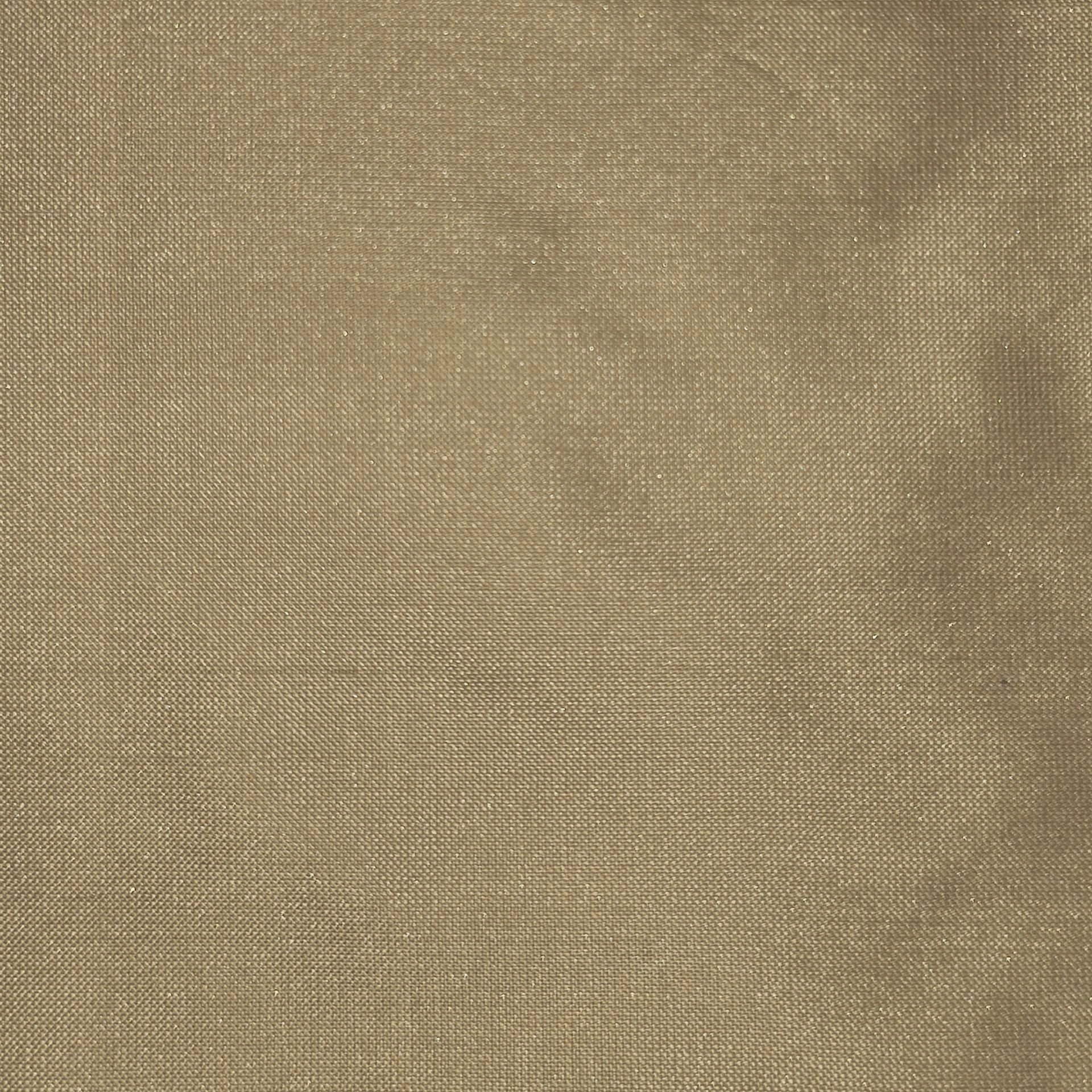 silk_35.jpg
