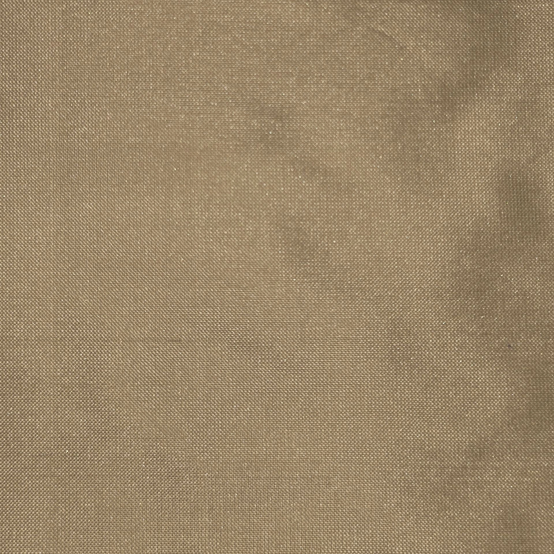 silk_36.jpg