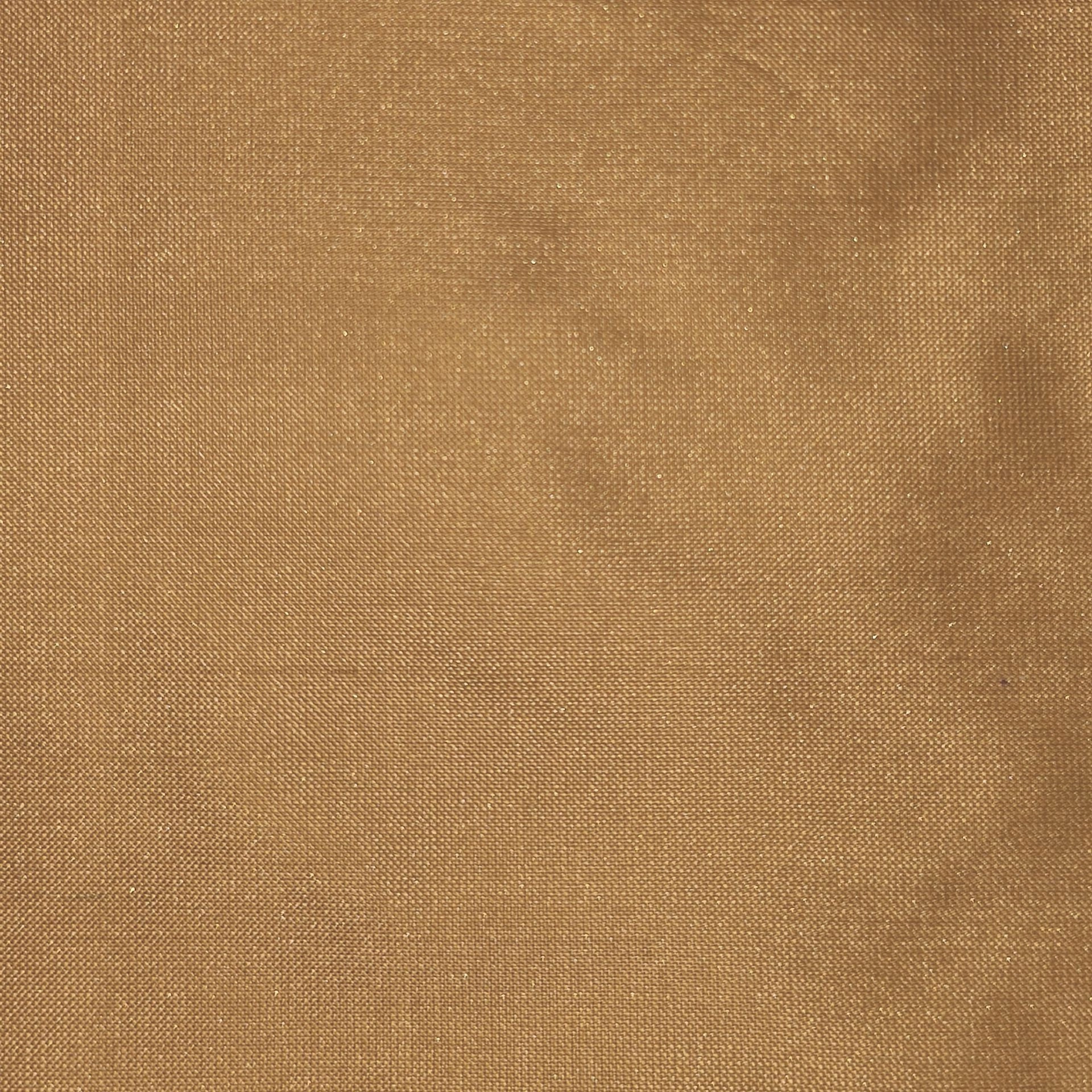 silk_40.jpg