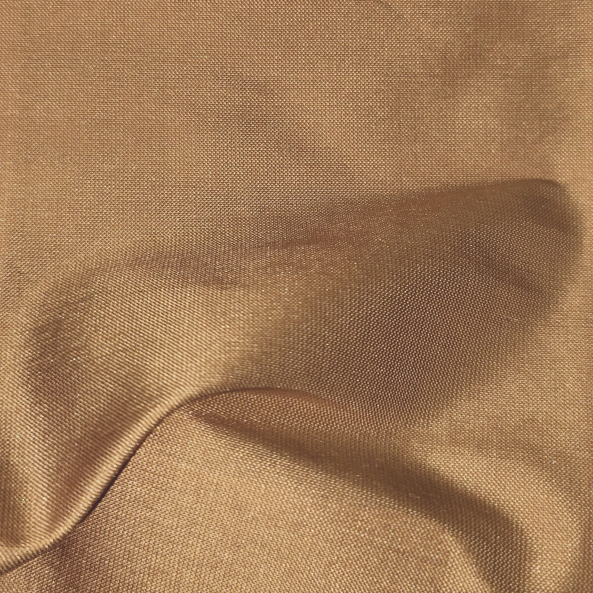 silk_40_1.jpg