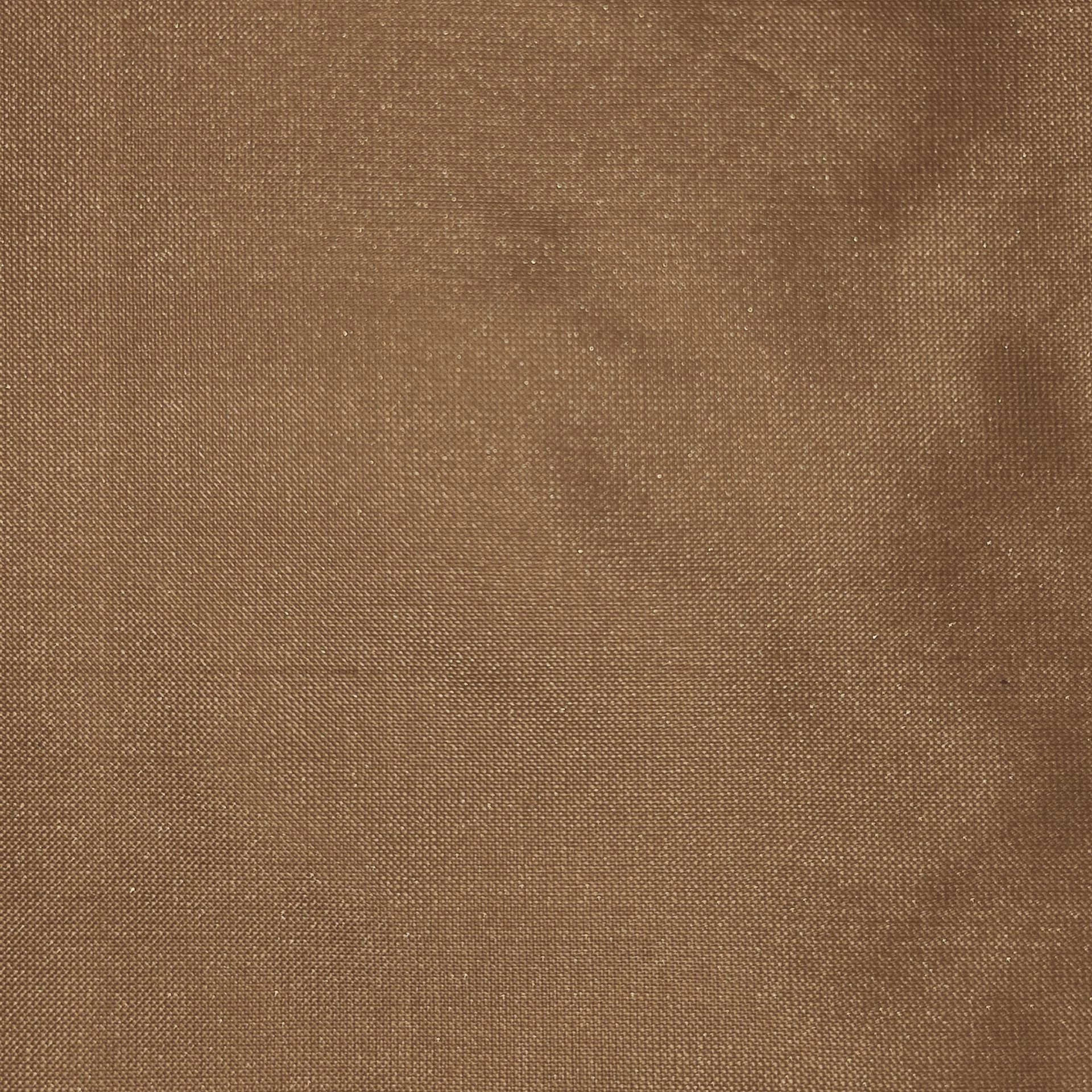 silk_43.jpg