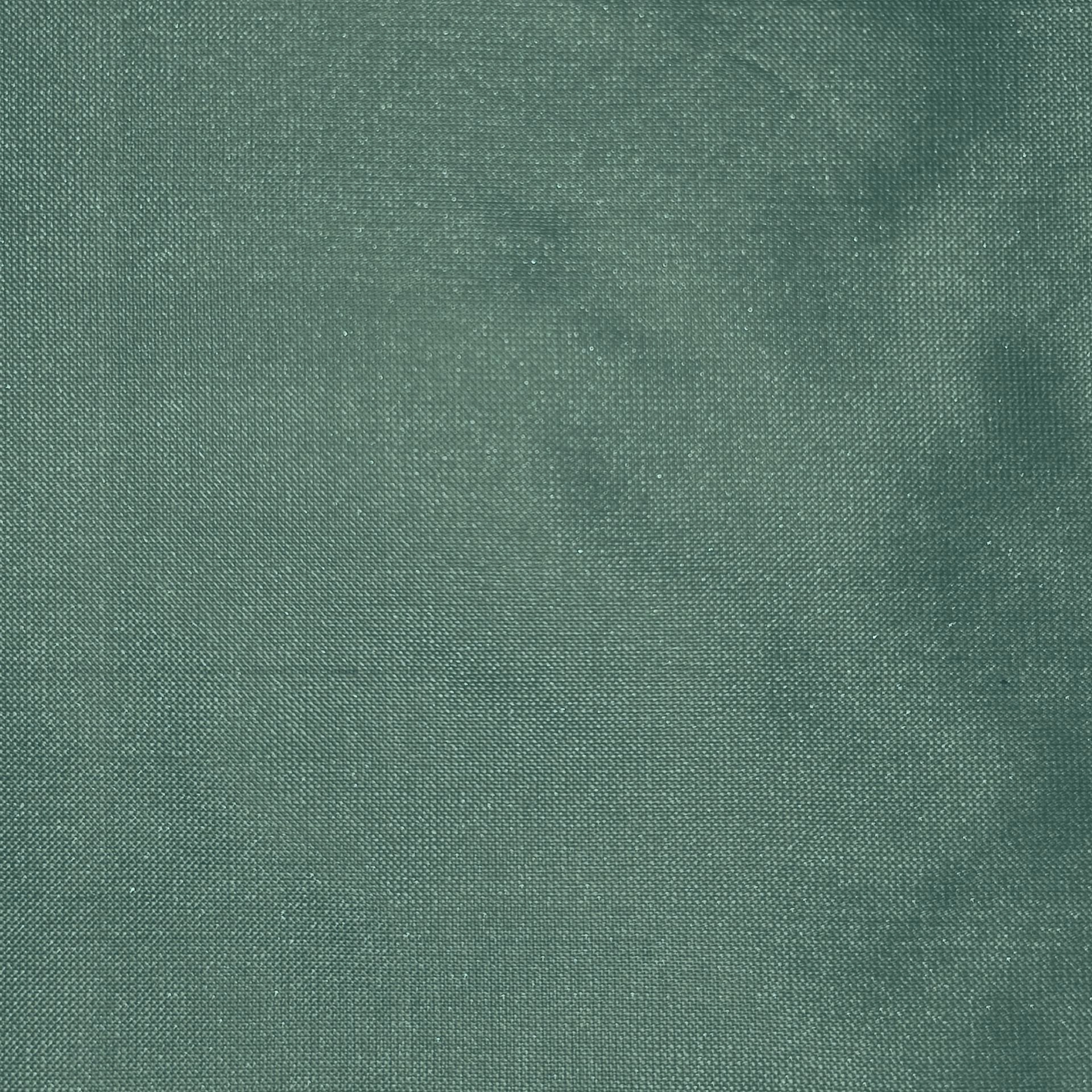 silk_85.jpg