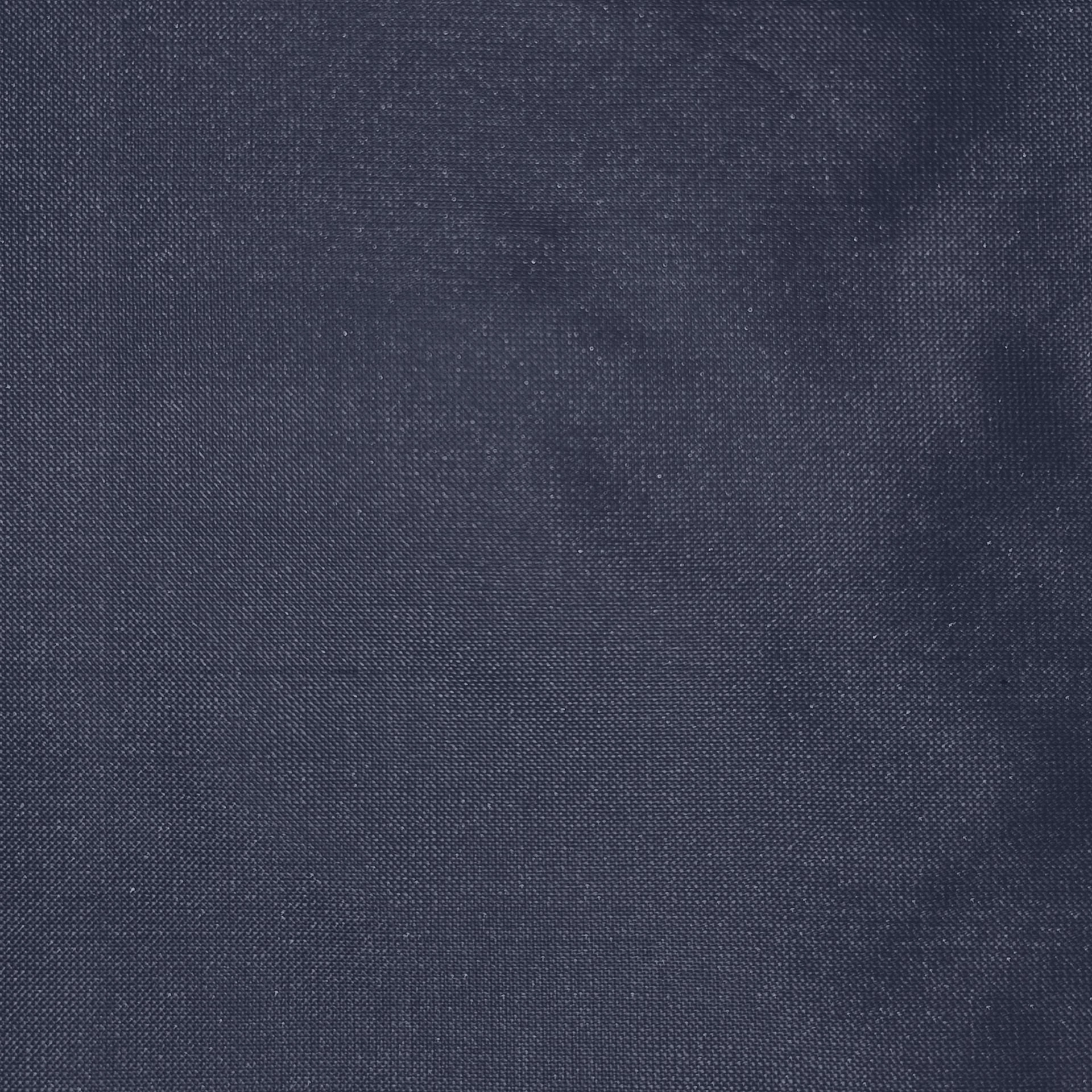 silk_100.jpg